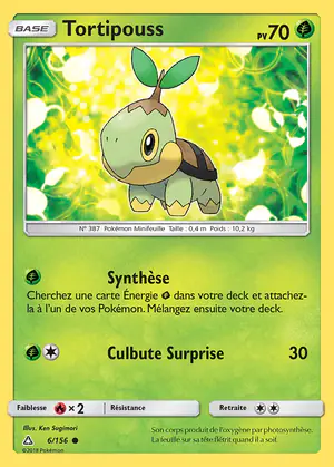 Tortipouss 6/156