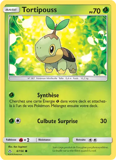 Image de la carte Pokemon Tortipouss 6/156