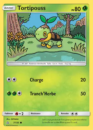 Tortipouss 7/156
