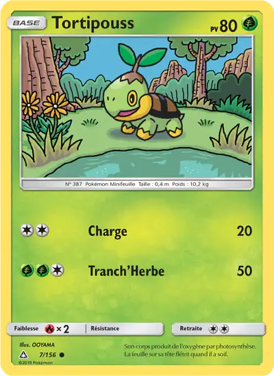 Image de la carte Pokemon Tortipouss 7/156