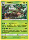 Image de la carte Torterra 9/156