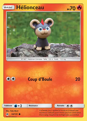 H&eacute;lionceau 18/131