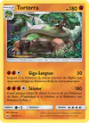 Image de la carte Torterra 58/131