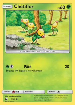 Ch&eacute;tiflor 1/168