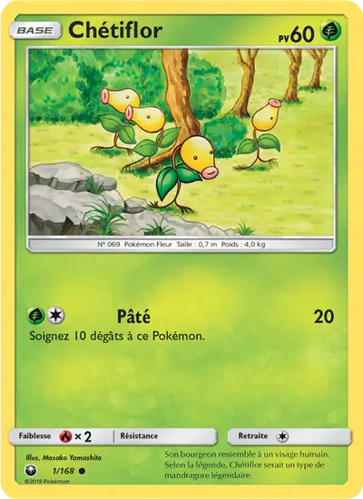 Image de la carte Pokemon Chétiflor 1/168