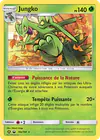 Image de la carte Jungko 10a/168