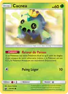 Image de la carte Cacnea 19/168