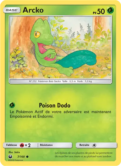 Image de la carte Pokemon Arcko 7/168