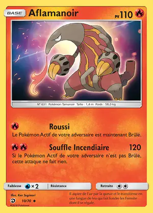 Aflamanoir 10/70