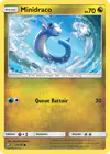 Image de la carte Minidraco 35/70