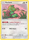 Image de la carte Kecleon 162/214