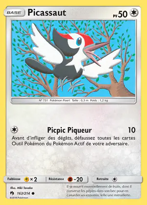 Picassaut 163/214
