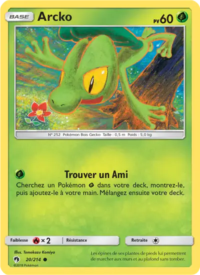 Image de la carte Pokemon Arcko 20/214