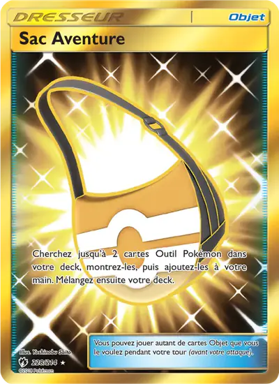 Image de la carte Pokemon Sac Aventure 228/214