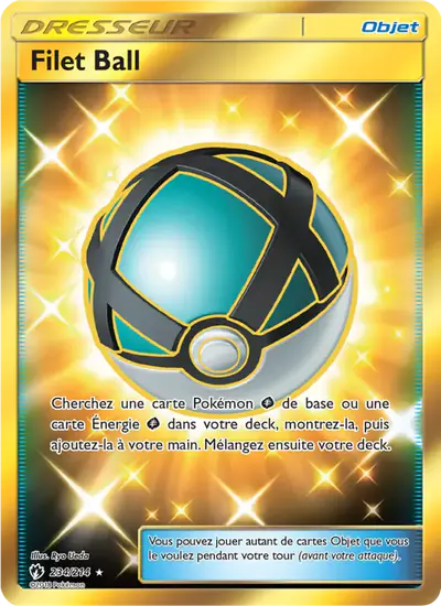 Image de la carte Pokemon Filet Ball 234/214