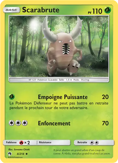 Image de la carte Pokemon Scarabrute 4/214