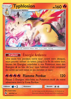 Typhlosion 42/214