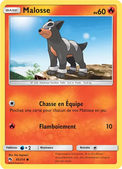 Image de la carte Pokemon Malosse 45/214