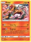 Image de la carte Entei 47/214