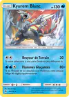 Image de la carte Kyurem Blanc 63/214