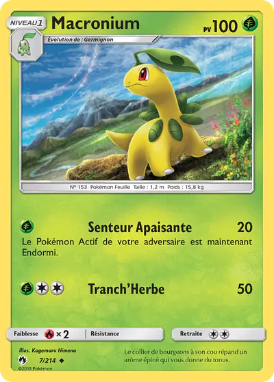 Image de la carte Pokemon Macronium 7/214