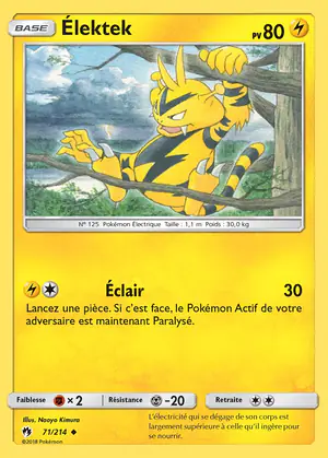 &Eacute;lektek 71/214