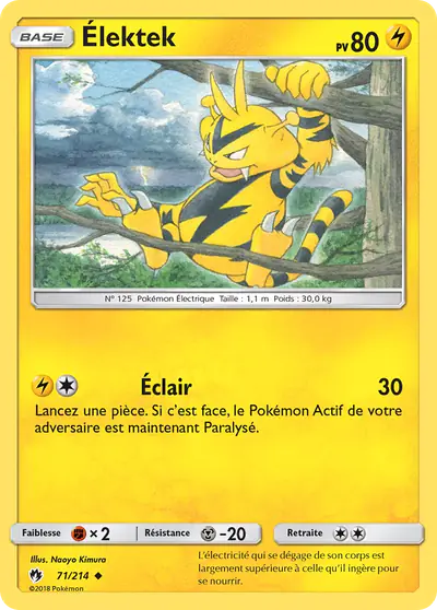 Image de la carte Pokemon Élektek 71/214