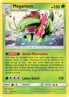 Image de la carte Méganium 8/214