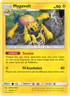 Image de la carte Mygavolt 48/181