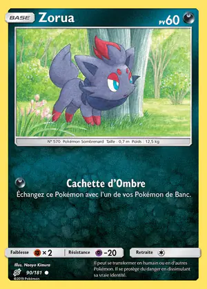 Zorua 90/181