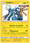 Image de la carte Câblifère SV14/SV94