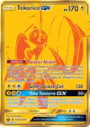 Image de la carte Tokorico GX SV93/SV94