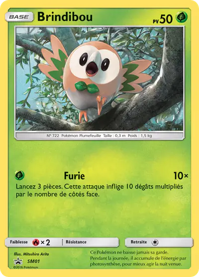 Image de la carte Pokemon Brindibou SM01/248