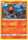 Image de la carte Flamiaou SM02/