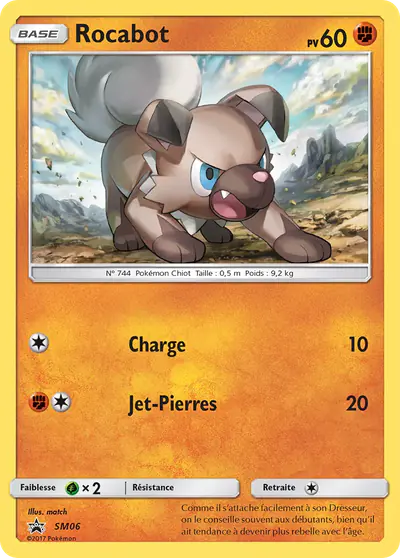 Image de la carte Pokemon Rocabot SM06/248
