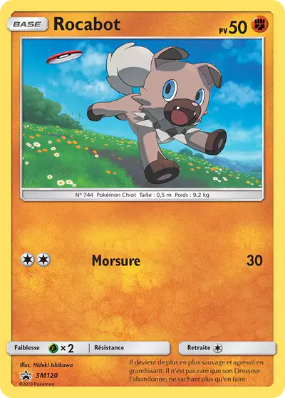 Image de la carte Pokemon Rocabot SM120/248