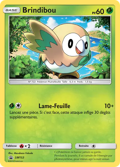 Image de la carte Pokemon Brindibou SM153/248