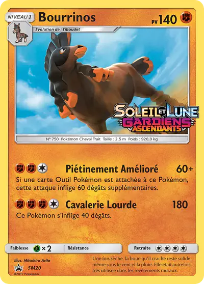 Image de la carte Pokemon Bourrinos SM20/248