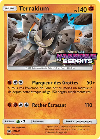 Image de la carte Pokemon Terrakium SM205/248