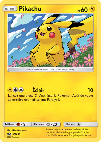 Image de la carte Pokemon Pikachu SM206/248