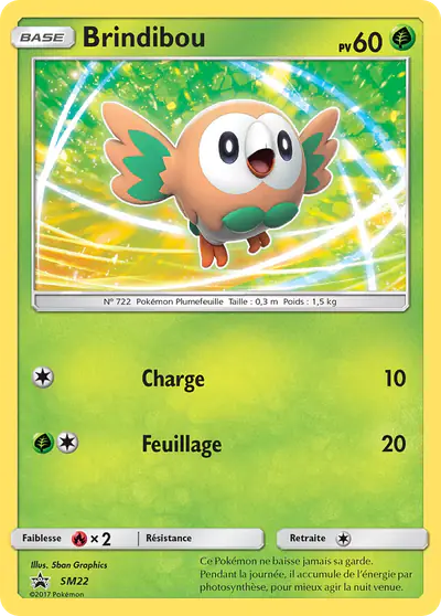 Image de la carte Pokemon Brindibou SM22/248