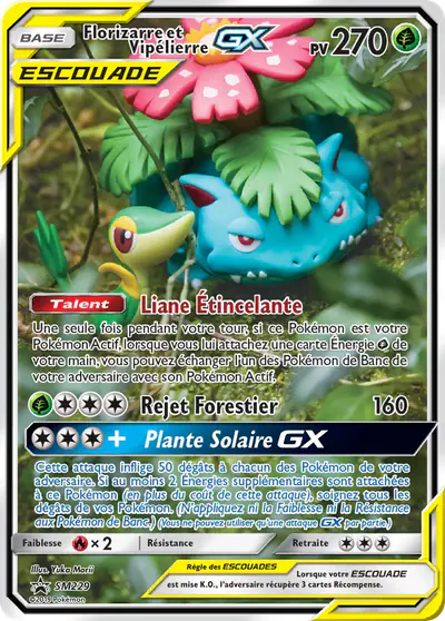 Image de la carte Pokemon Florizarre et Vipélierre GX SM229/248