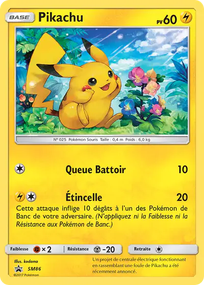 Image de la carte Pokemon Pikachu SM86/248