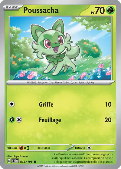 Image de la carte Pokemon Poussacha 013/198