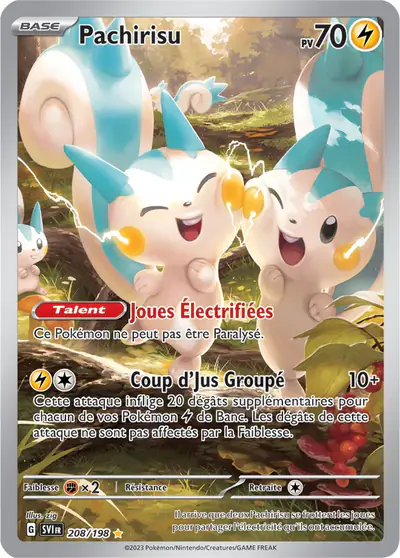 Image de la carte Pokemon Pachirisu 208/198