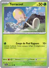 Image de la carte Terracool 024/198