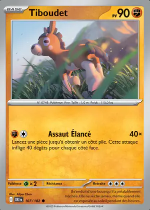 Tiboudet 107/182