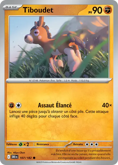 Image de la carte Pokemon Tiboudet 107/182