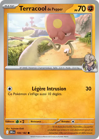 Image de la carte Pokemon Terracool de Pepper 109/182