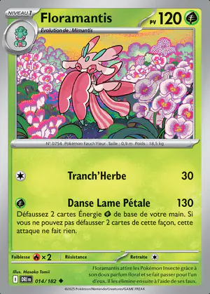 Floramantis 014/182